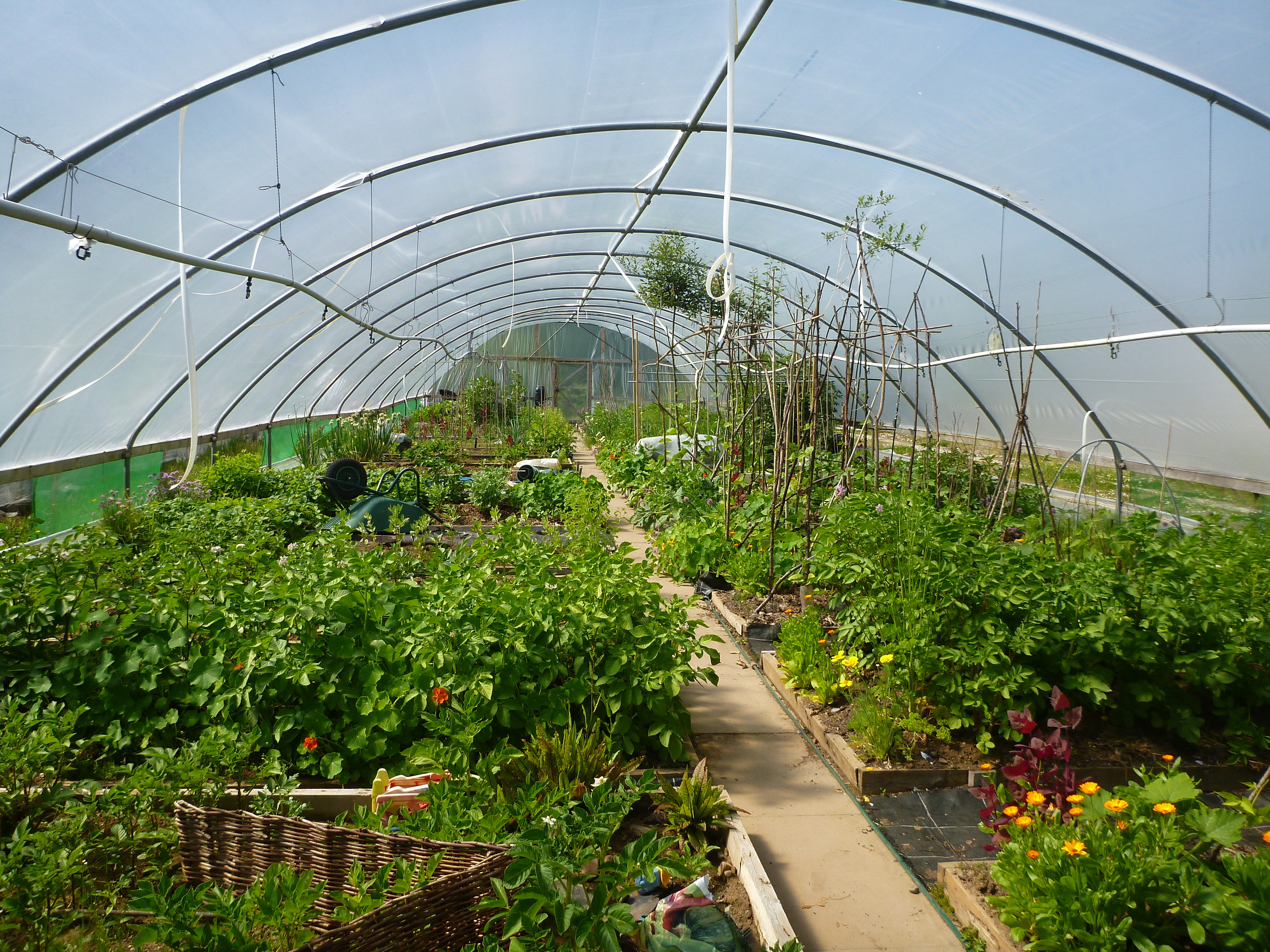 Lorn Organic Growers